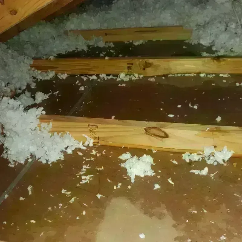 Attic Water Damage in Wetumka, OK