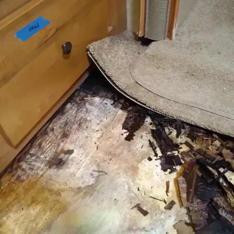 Wood Floor Water Damage in Wetumka, OK